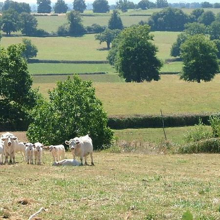 Domaine De La Madeleine Bed & Breakfast Ygrande Bagian luar foto