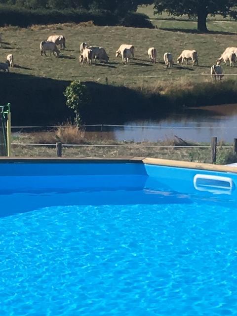 Domaine De La Madeleine Bed & Breakfast Ygrande Bagian luar foto