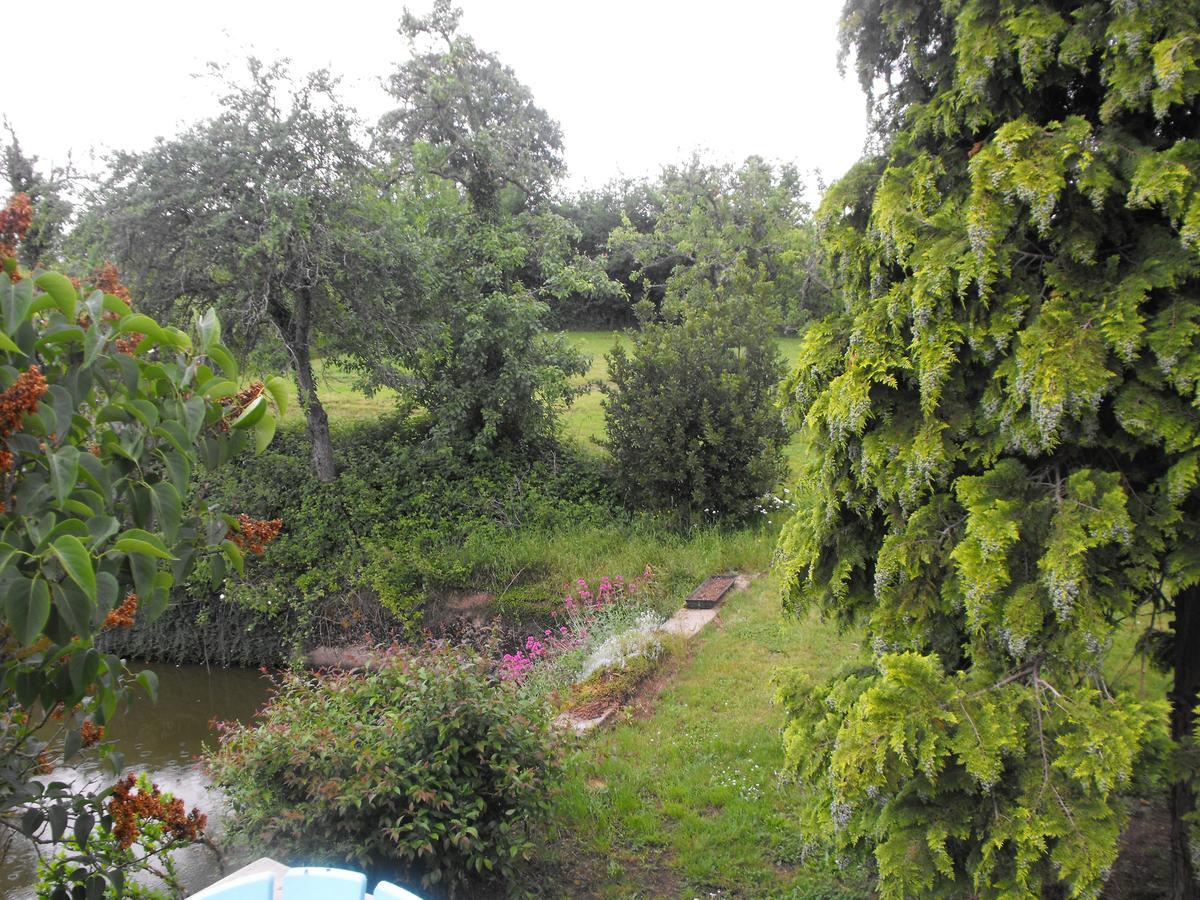 Domaine De La Madeleine Bed & Breakfast Ygrande Bagian luar foto